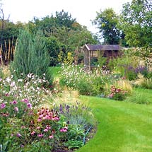 Cottage garden design with mixed border planting