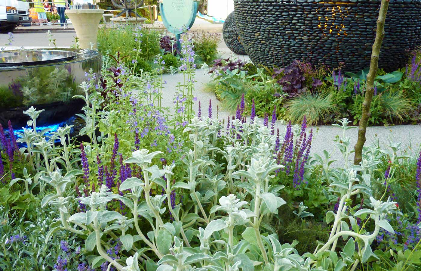 Green, silver and purple planting provides a foil for exhibits