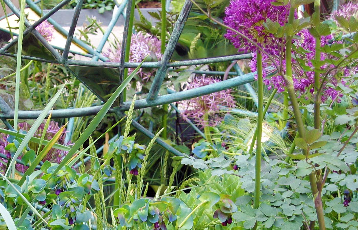 Cerinthe thalictrum alliums grasses intertwine with the Matrix garden sculpture